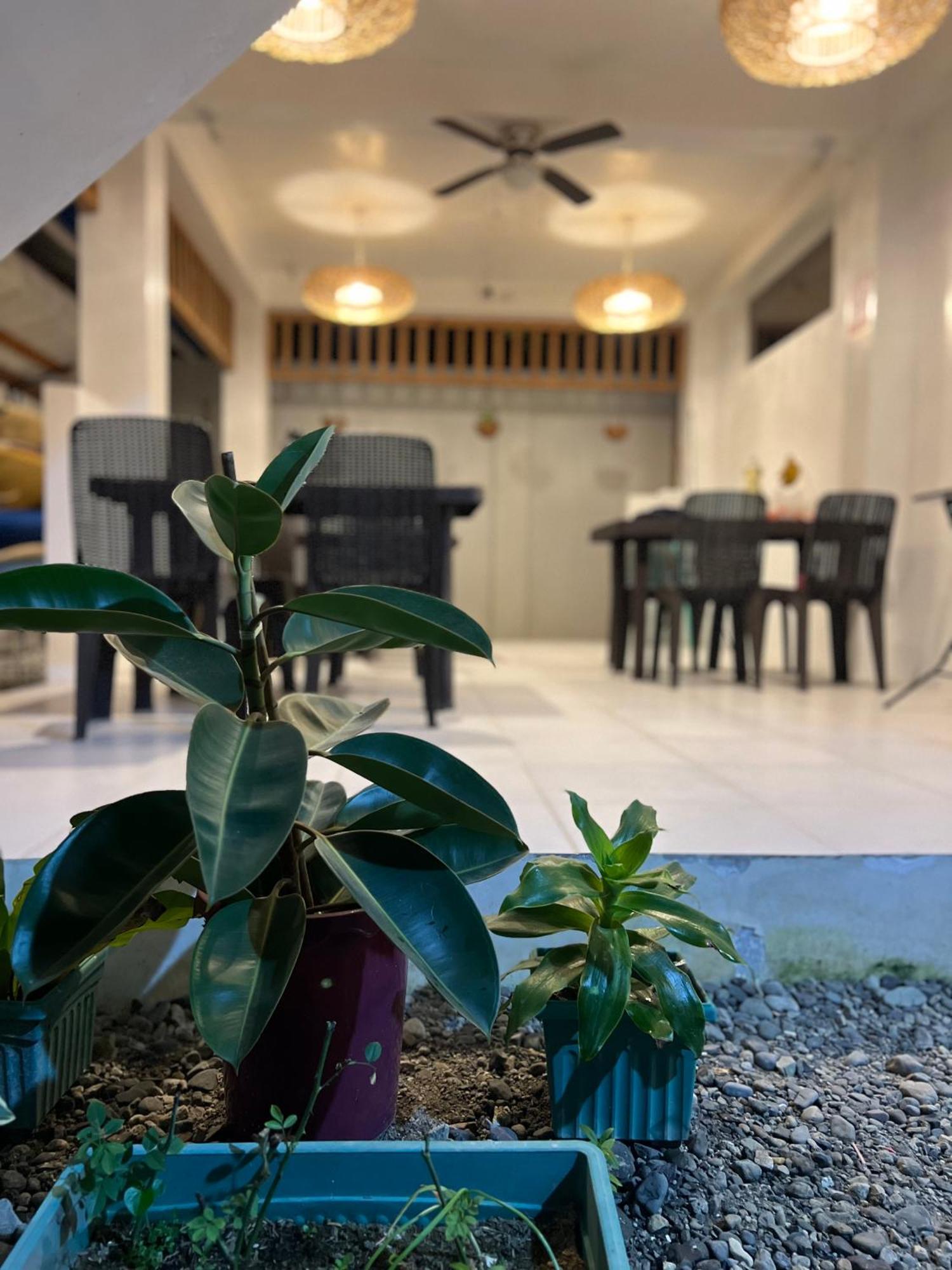 Hotel Sunny Terrace Baler Exterior foto
